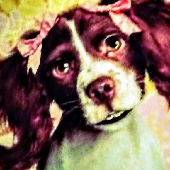 Meet your Posher, Joan - Picture 1 of 1